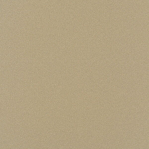 Фасад кухонный МДФ Пленка Шампань св. 303 НG